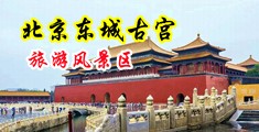日本浪妇被干电影中国北京-东城古宫旅游风景区